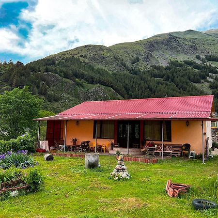 Januka Garden At Sno Villa Kazbegi Ngoại thất bức ảnh