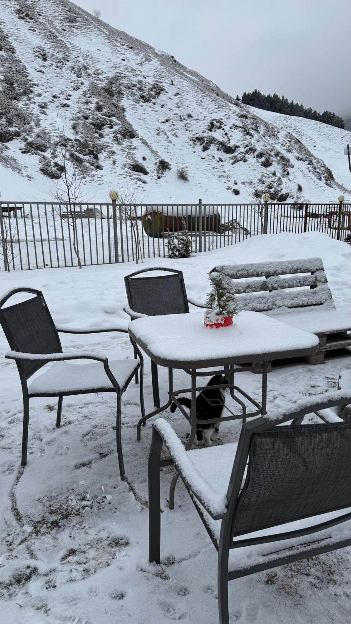 Januka Garden At Sno Villa Kazbegi Ngoại thất bức ảnh