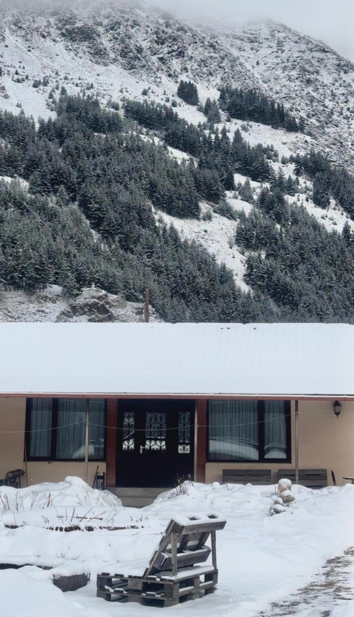 Januka Garden At Sno Villa Kazbegi Ngoại thất bức ảnh